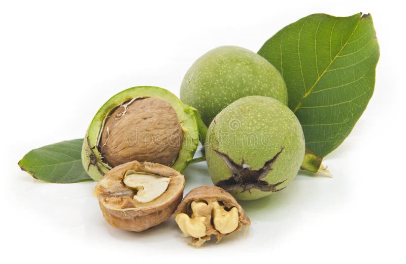 Noci immagine stock libera da diritti