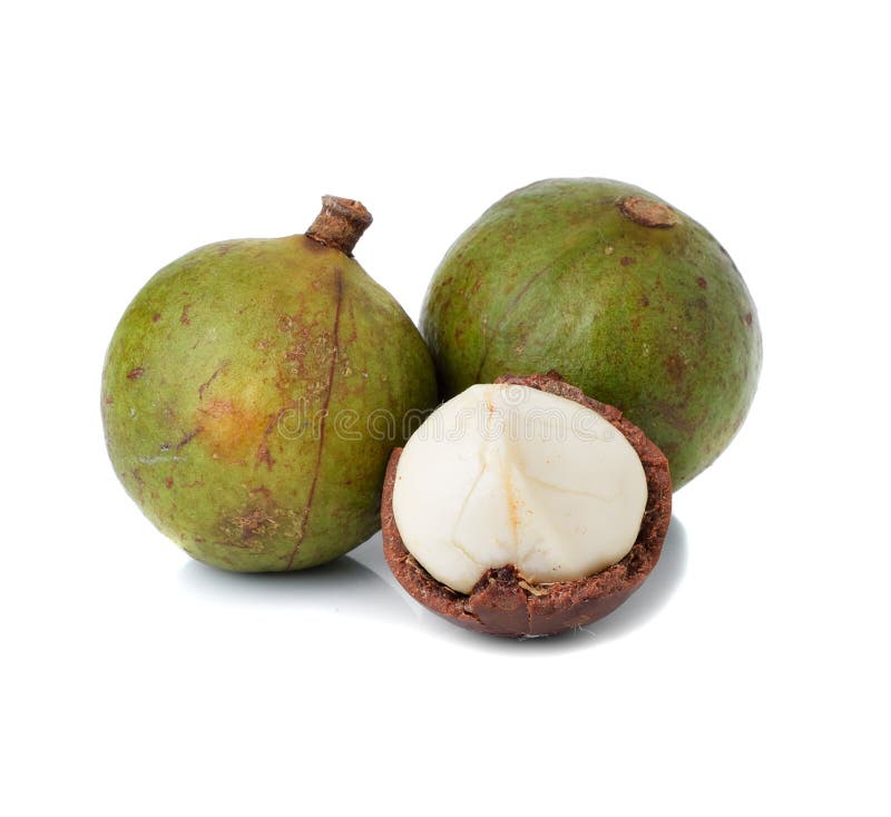 Noci di macadamia fotografie stock