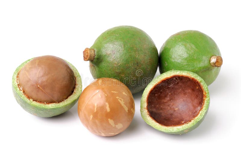 Noci di macadamia su sfondo bianco fotografia stock libera da diritti