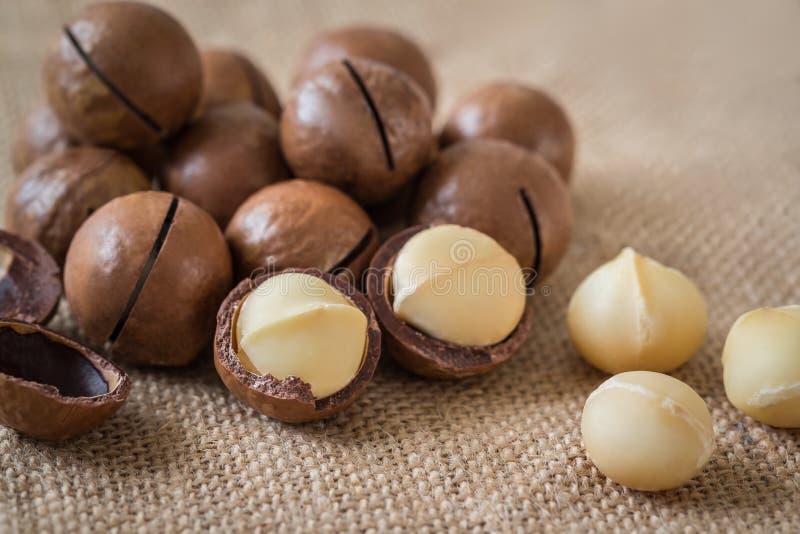 Noci di macadamia su tela di sacco fotografia stock Noci di macadamia su tela di sacco fotografia stock