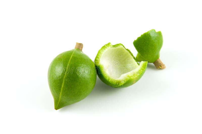 Noci di Macadamia immagini stock libere da diritti