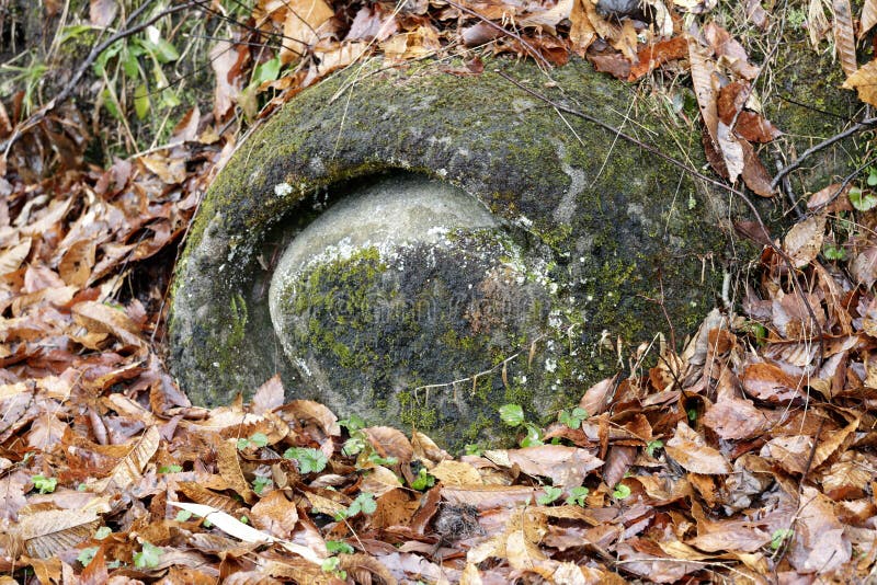 Nodule stock image. Image of moss, sand, nichinancho - 84119593