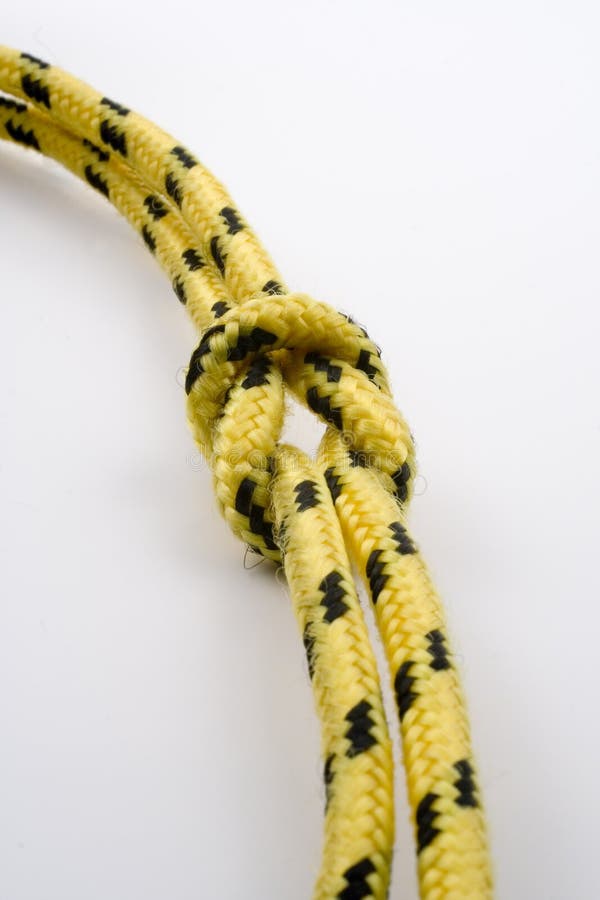 Nœud photos libres de droits