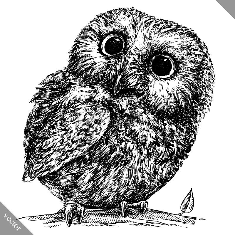 Black and white engrave isolated owl vector art. Black and white engrave isolated owl vector art