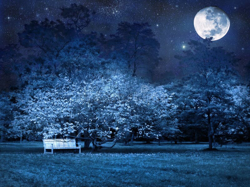Noite da Lua cheia no parque