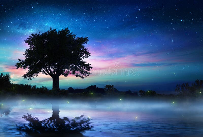 Noite estrelado com árvore só