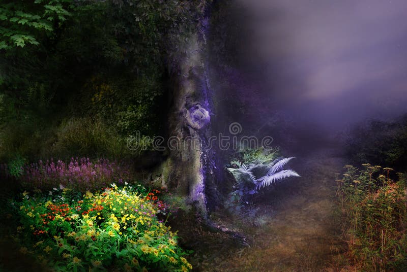 Noite mágica da floresta fotografia de stock Noite mágica da floresta fotografia de stock