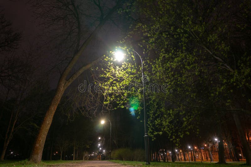 Noite que ilumina o trajeto para caminhadas na aleia ? vista das lanternas Luz pequena decorativa do jardim, lanternas na cama de foto de stock Noite que ilumina o trajeto para caminhadas na aleia ? vista das lanternas Luz pequena decorativa do jardim, lanternas na cama de foto de stock