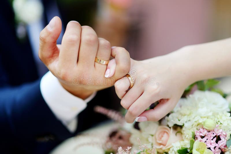 Noiva e noivo que prendem suas mãos imagens de stock Noiva e noivo que prendem suas mãos imagens de stock
