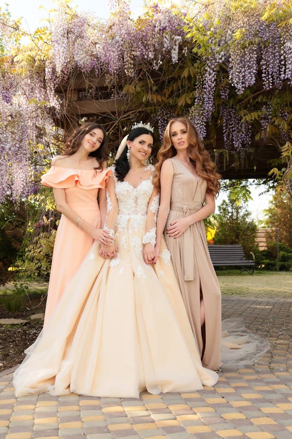 Noiva Lindo No Vestido De Casamento Luxuoso, Levantando Com As Damas De  Honra Bonitas Em Vestidos Elegantes Foto de Stock - Imagem de vestidos,  lindo: 72117630