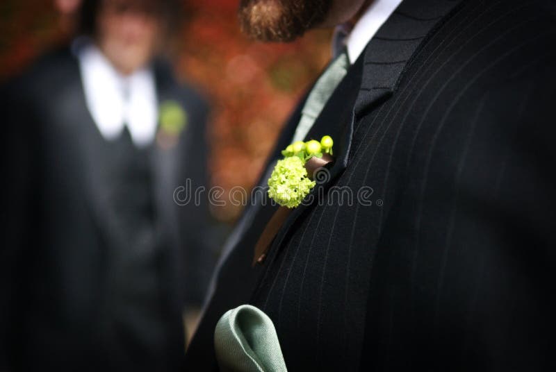 Wedding day groom and his boutonniere. Wedding day groom and his boutonniere