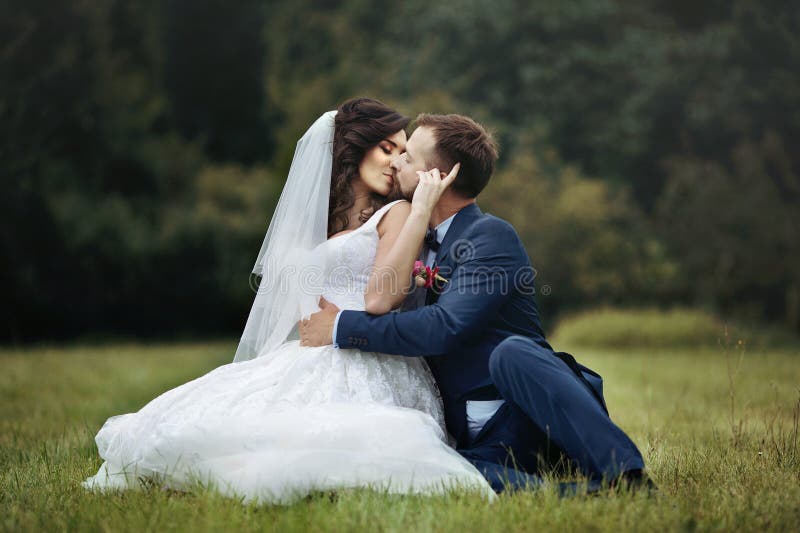 Noivo feliz considerável que abraça e que beija a noiva bonita quando s imagens de stock Noivo feliz considerável que abraça e que beija a noiva bonita quando s imagens de stock
