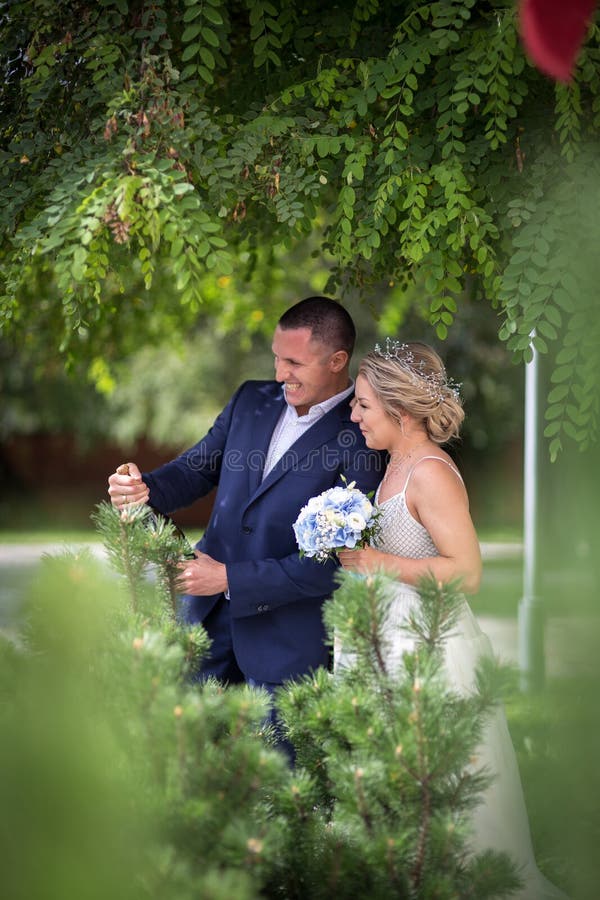 Noivos no casamento com champanhe fotos de stock Noivos no casamento com champanhe fotos de stock