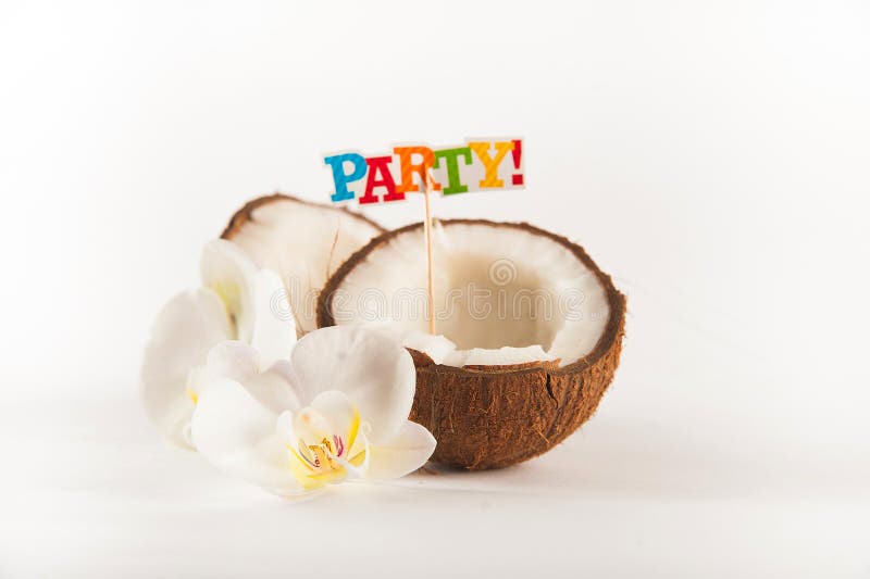 Noix de coco coupée dans la moitié avec la fleur blanche d'orchidée d'isolement sur le fond blanc Lait de noix de coco et pulpe d images libres de droits Noix de coco coupée dans la moitié avec la fleur blanche d'orchidée d'isolement sur le fond blanc Lait de noix de coco et pulpe d images libres de droits