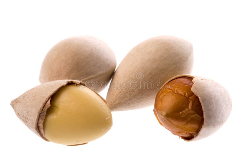 Noix de Ginkgo d'isolement photographie stock libre de droits