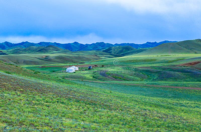 Nomadeleben von Mongolian auf Savanne