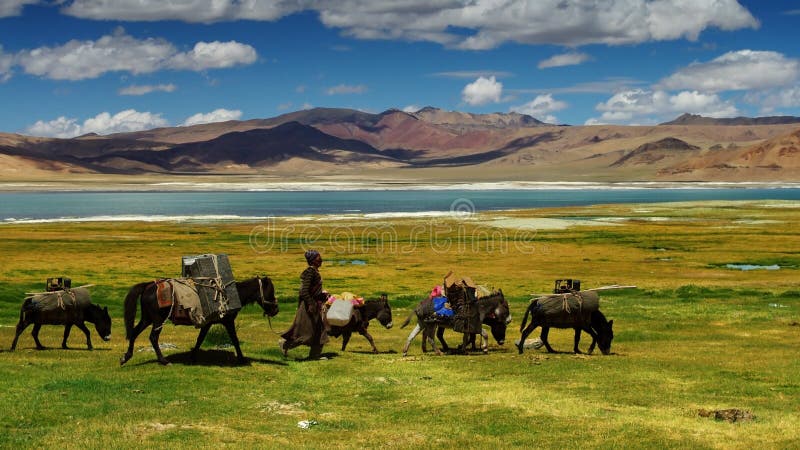 nomads fotografie stock libere da diritti nomads fotografie stock libere da diritti