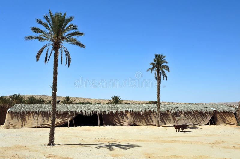 Nomads desert camp