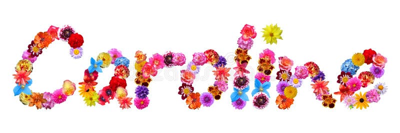 Nombre Caroline De Las Flores Stock de