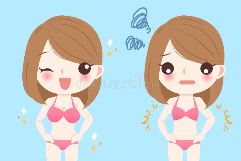 女性罩杯尺寸 向量例证