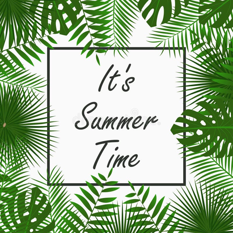 Σχέδιο καρτ ποστάλ για το καλοκαίρι με - τροπικά φύλλα φοίνικα, φύλλα ζούγκλας, εξωτικά φυτά και περίγραμμα. Γραφικό για αφίσα, πα διανυσματική απεικόνιση