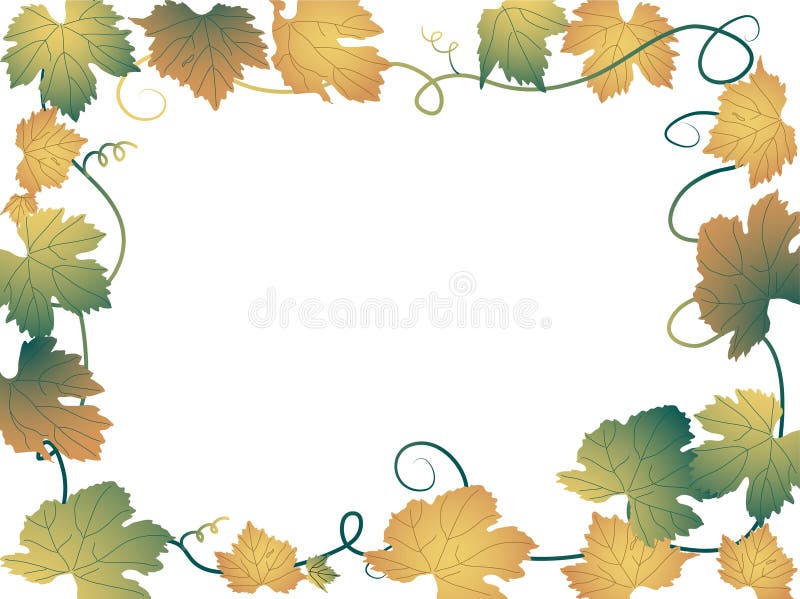 Φύλλα αμπέλου ελεύθερη απεικόνιση δικαιώματος