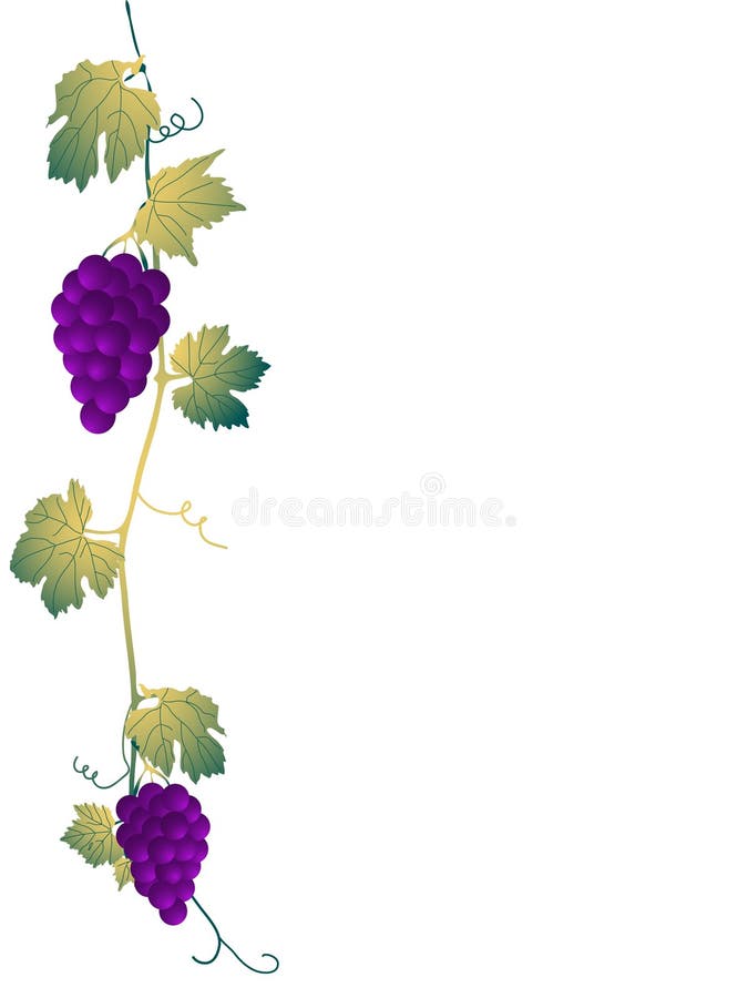 Φύλλα αμπέλου ελεύθερη απεικόνιση δικαιώματος