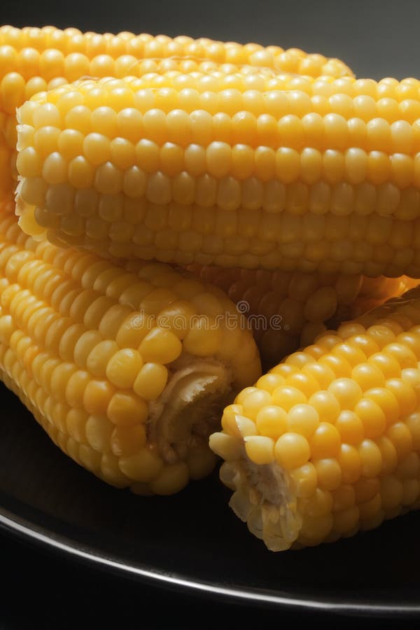 玉米 库存照片