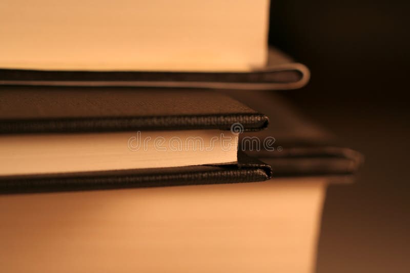 A side view of a little black book in between two bigger ones. (shallow depth of field)