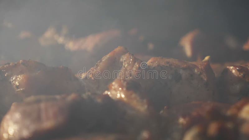 κλείσιμο. ψημένο μπάρμπεκιου σε κόκκους καπνού. πικάντικο. απόθεμα βίντεο