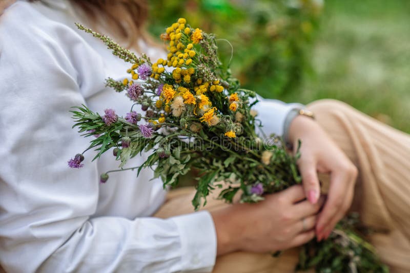 μυρωδιά κίτρινου λουλουδιού στοκ εικόνα με δικαίωμα ελεύθερης χρήσης