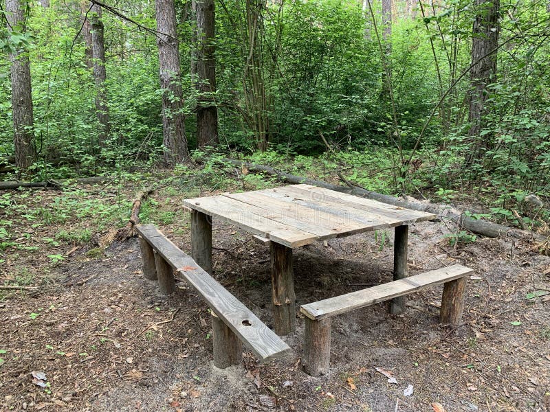 ξύλινο παγκάκι στο δάσος ανάμεσα στα δέντρα. ένα μέρος για να χαλαρώσετε στο πάρκο στη φύση. ξύλινες καμπίνες στον καθαρό αέρα στοκ εικόνες