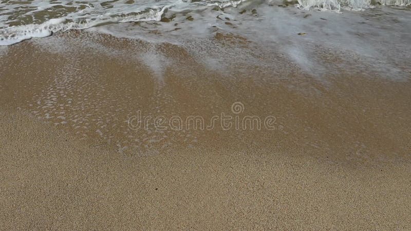 ωκεάνια ακτή με αμμώδη παραλία και κύμα προόδου φιλμ μικρού μήκους