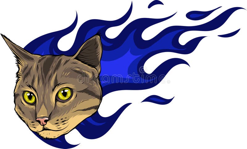 猫头手绘矢量图插图设计 库存例证