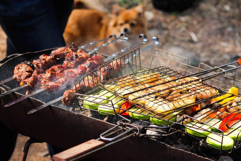 Σαββατοκύριακο στο δάσος στοκ εικόνα