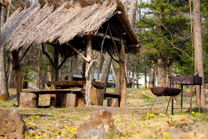 Σαββατοκύριακο στο δάσος στοκ φωτογραφία