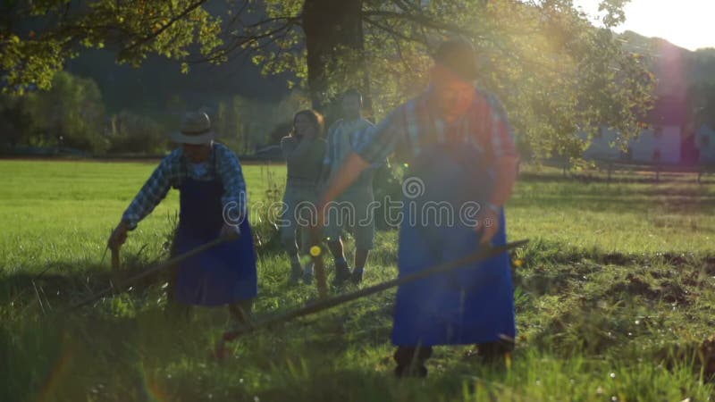 Το ζεύγος Μεσαίωνα περπατά αρχειοθετημένη όπου οι αγρότες κόβουν με τα δρεπάνια απόθεμα βίντεο