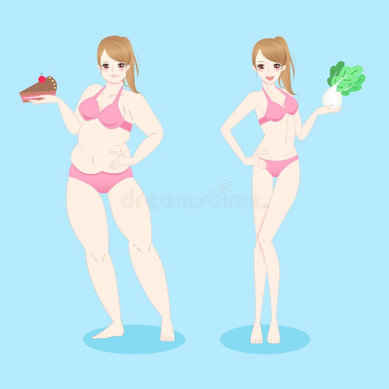 瘦和胖的女人 皇族释放例证