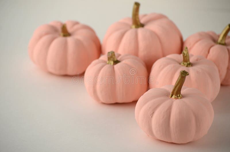 Blush Pink Pumpkins with Gold Stems on Solid Color Background with Copy