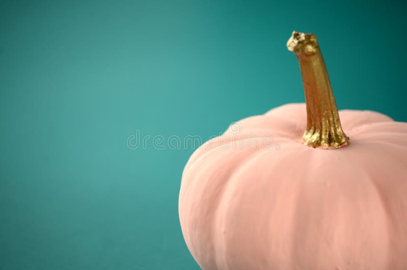 Blush pink pumpkins with gold stems on solid tealcolor background with copy space.