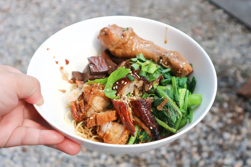 Noodles or Chinese Egg Noodles or Chinese Noodles or Pork , Chicken and