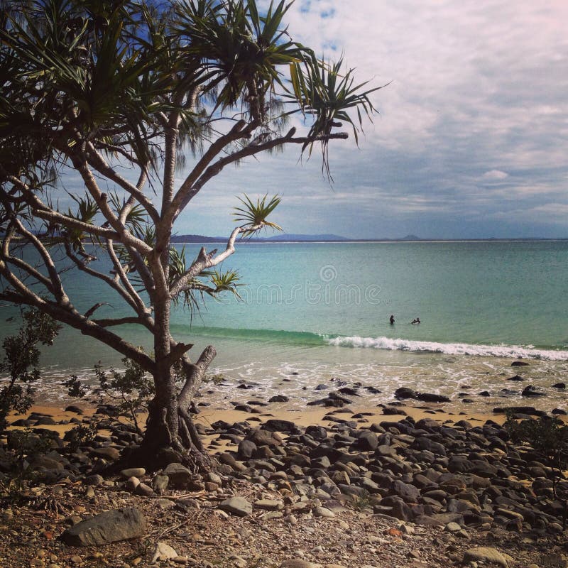 Noosa