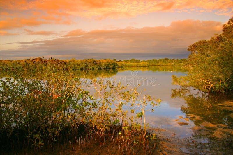 Noosaville, Sunshine Coast, Australia