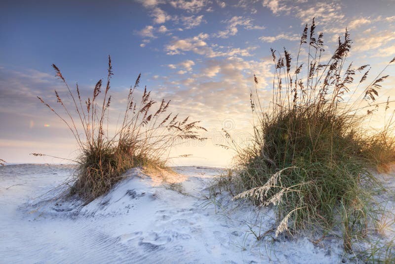 Nord côtier Carolina Sunrise d'avoine de sable et de mer