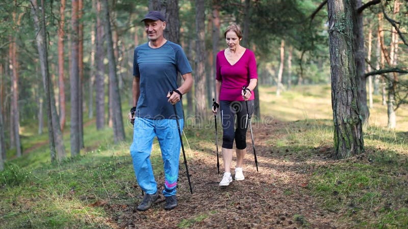 Nordbo som går - aktiva höga par på skogen skuggar stock video