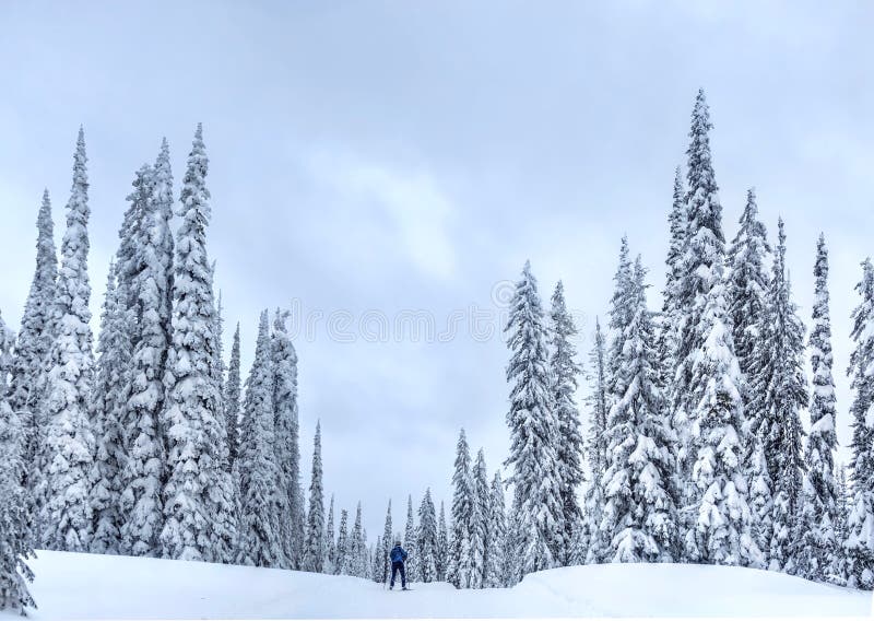 Nordic ski near Kelowna at Big White Ski Resort on a snowy day.