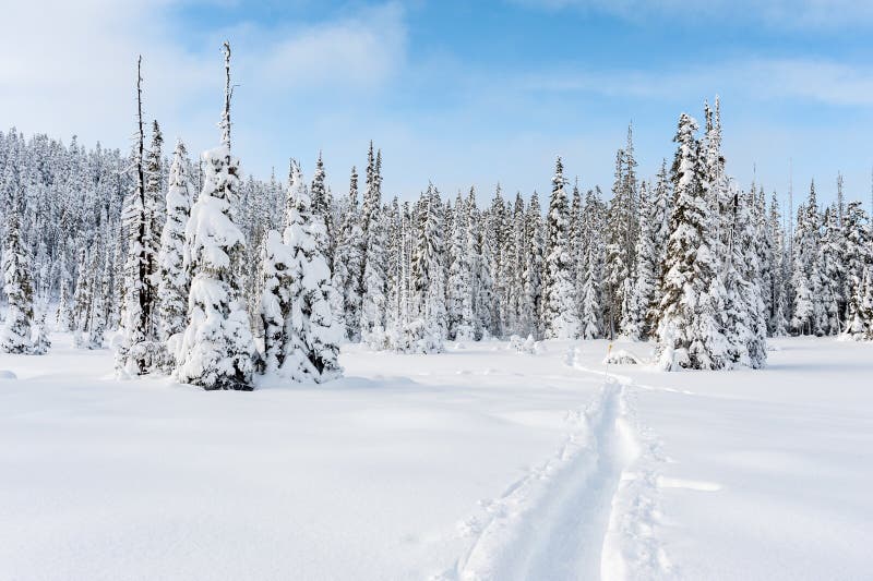 Nordic Trails Winter stock images Nordic Trails Winter stock images