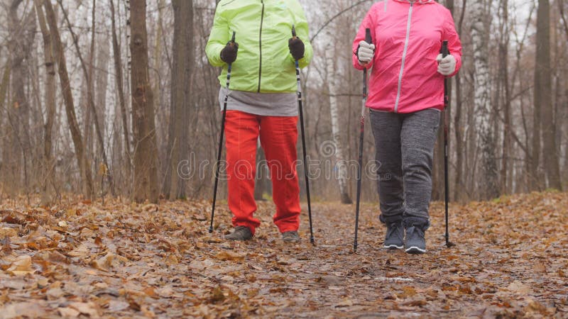 Nordic Walking for Elderly Women Outdoor - Two Happy Senior Ladies Have ...