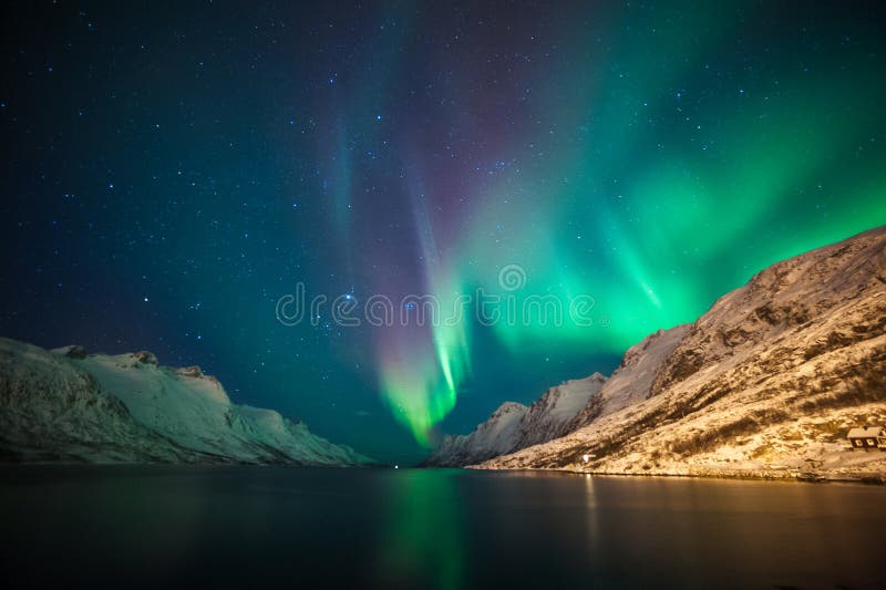 Nordlichter über Fjorden
