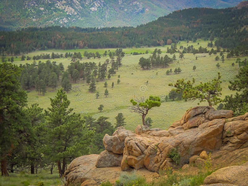 Nordlig Colorado Estes Park Colorado Rocky Mountain nationalpark arkivfoto Nordlig Colorado Estes Park Colorado Rocky Mountain nationalpark arkivfoto